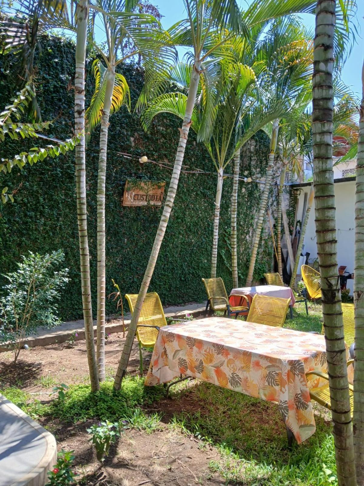 Alojamiento Familiar Custodia Tarapoto Ngoại thất bức ảnh