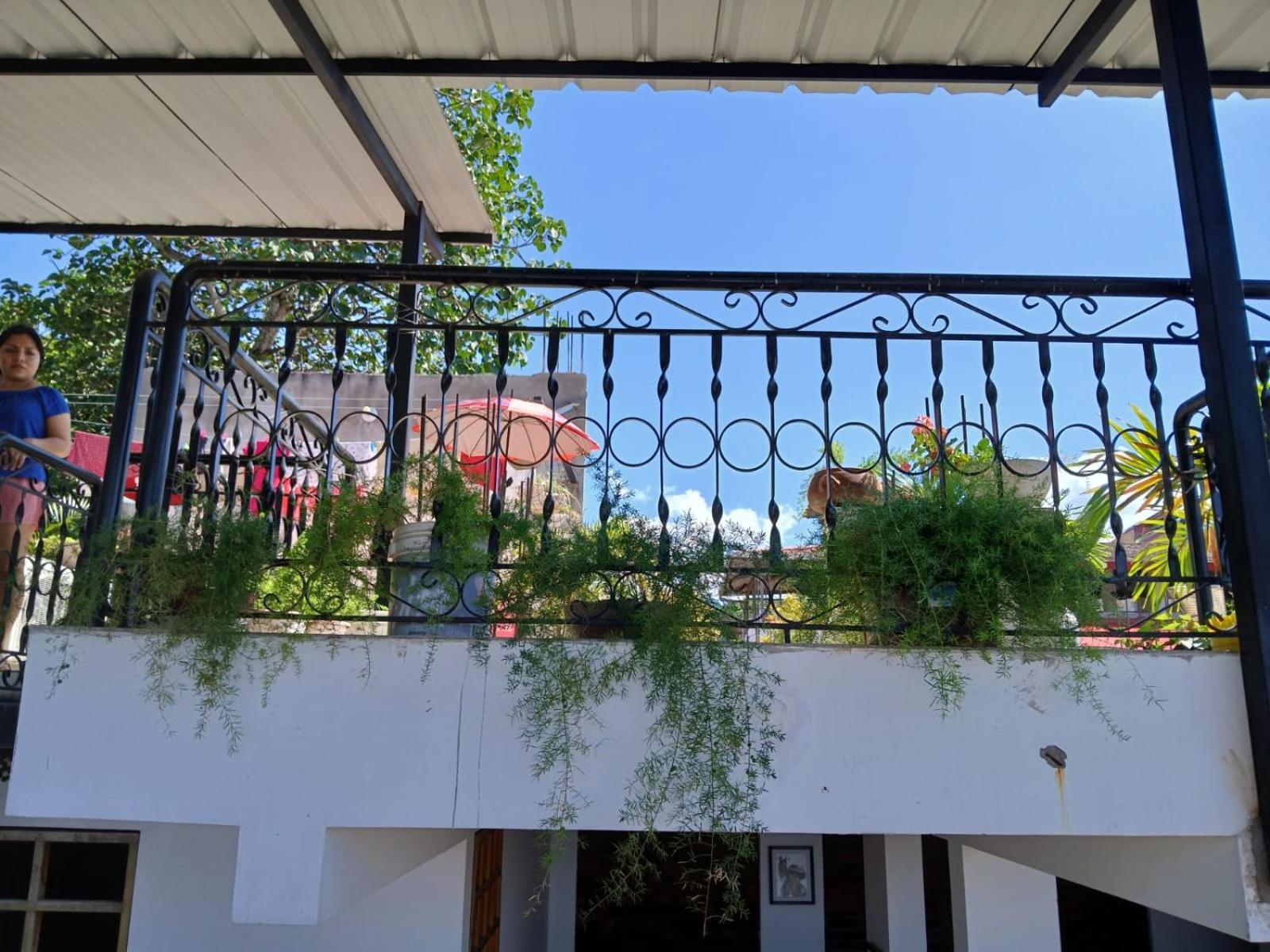 Alojamiento Familiar Custodia Tarapoto Ngoại thất bức ảnh