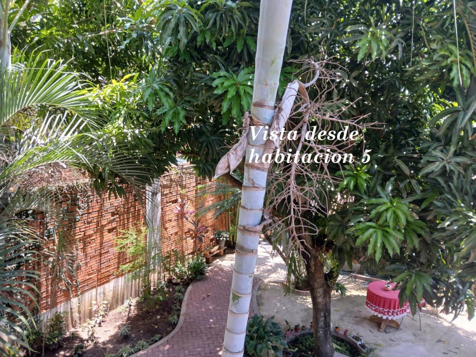 Alojamiento Familiar Custodia Tarapoto Ngoại thất bức ảnh