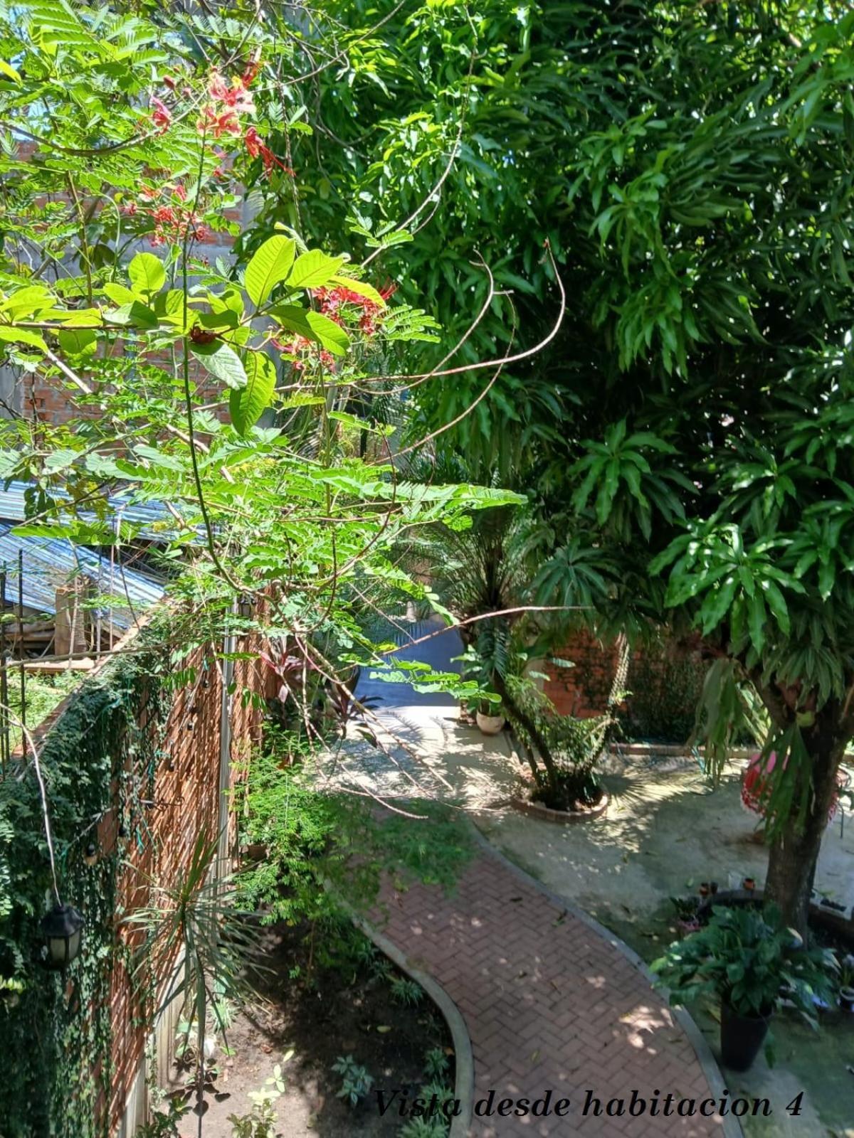 Alojamiento Familiar Custodia Tarapoto Ngoại thất bức ảnh
